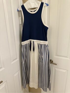 Anthropology Navy and White Sleeveless Striped Midi Dress